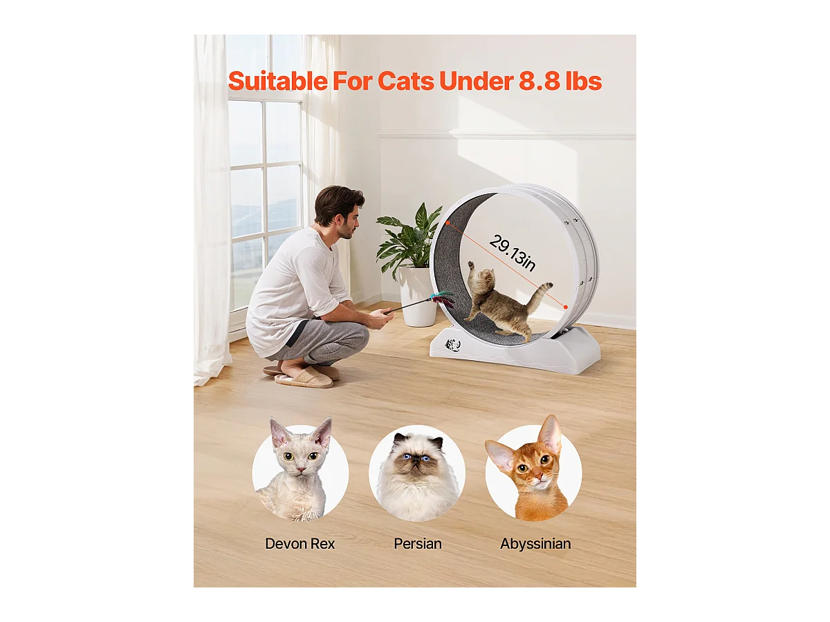 Roue d'Exercice pour Chat, SucceBuy Roue d'Exercice pour Chat 80 cm Grand Tapis Roulant d'Intérieur Blanc