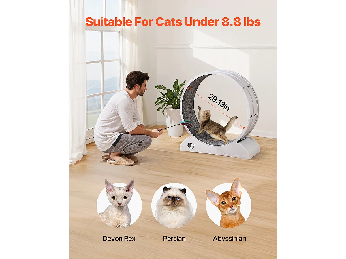 Roue d'Exercice pour Chat, SucceBuy Roue d'Exercice pour Chat 80 cm Grand Tapis Roulant d'Intérieur Blanc