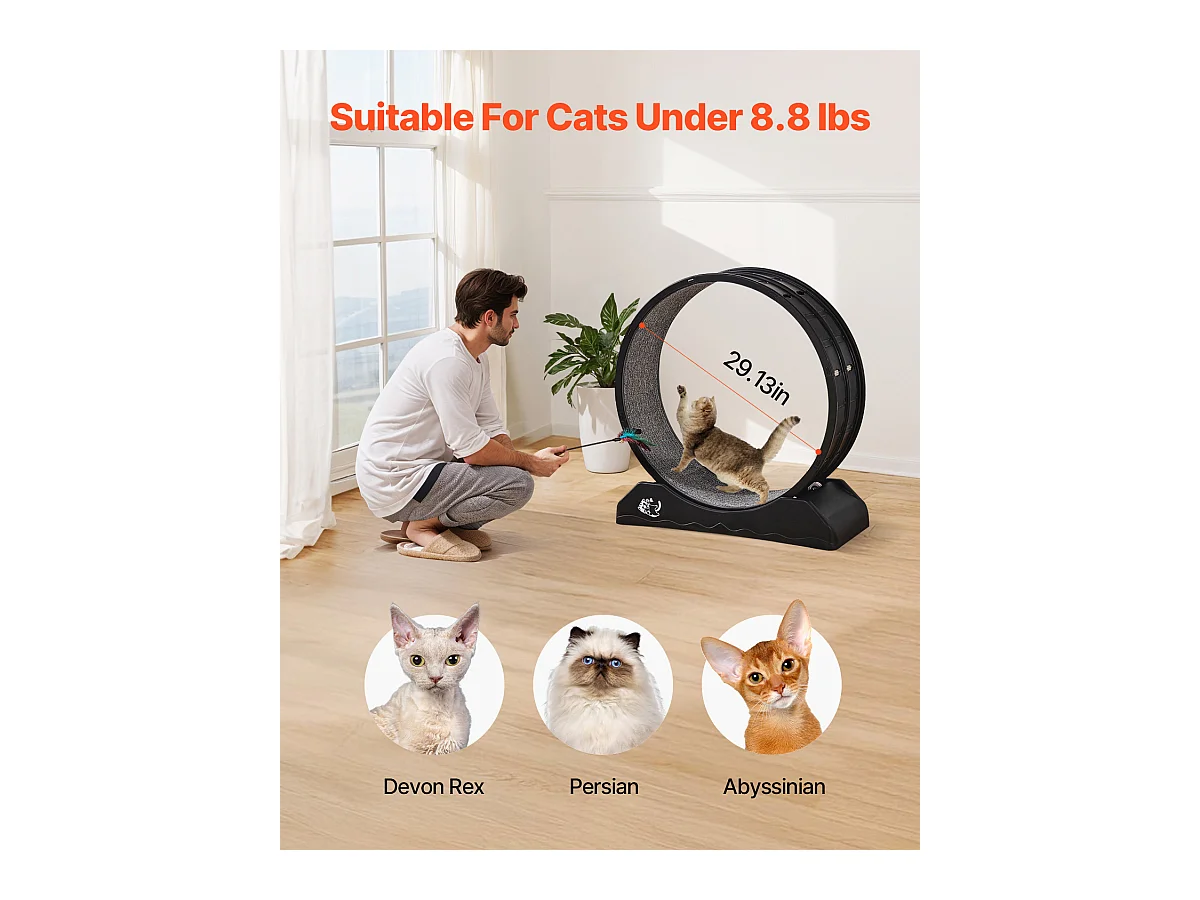 Roue d'Exercice pour Chat, SucceBuy Roue d'Exercice pour Chat 80 cm Grand Tapis Roulant d'Intérieur Noir