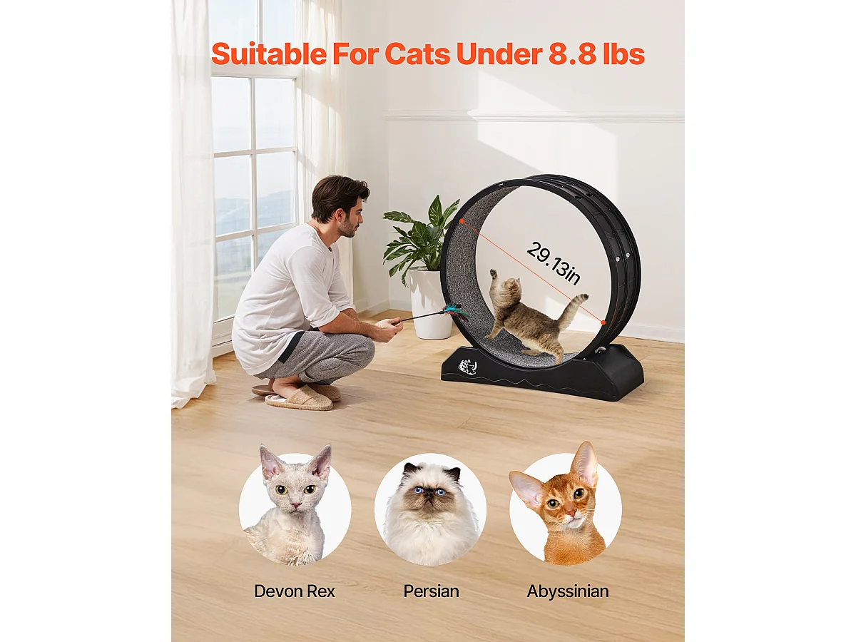 Ruota per Esercizi per Gatti, SucceBuy Ruota per Esercizi per Gatti, Tapis Roulant da Interno Grande, 80 cm, Nera