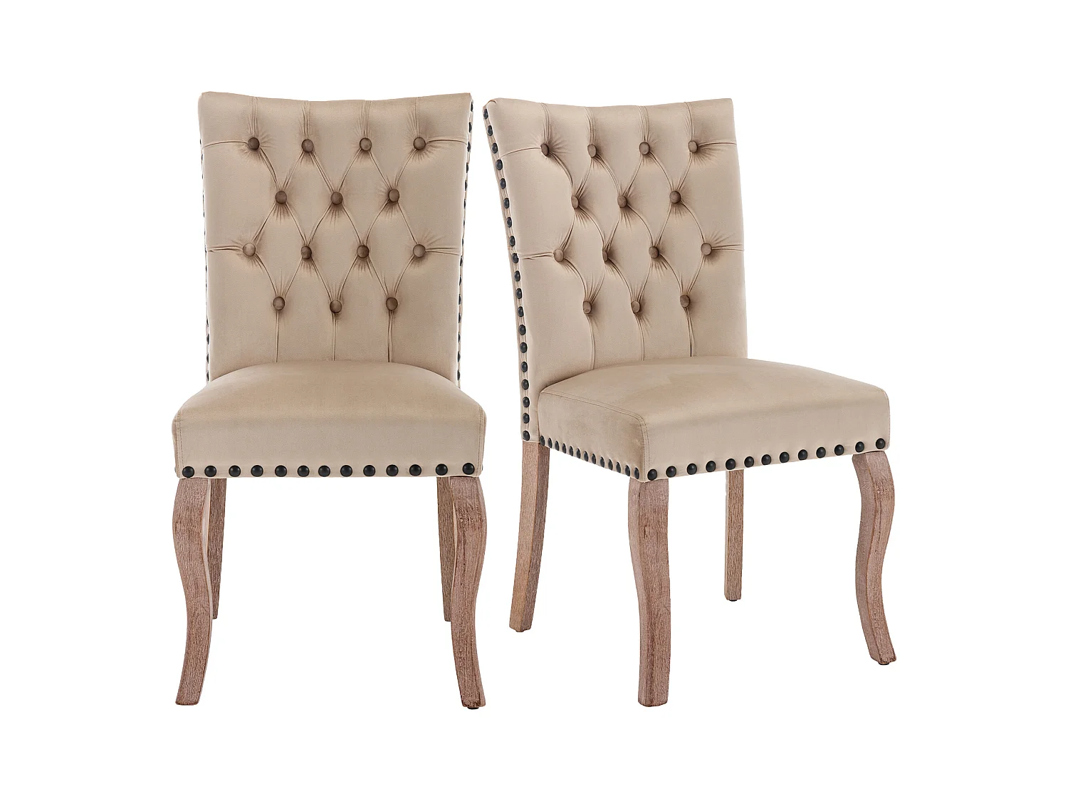 Lot de 2 chaises en velours Camel clair avec pieds en bois courbés, rivets noirs