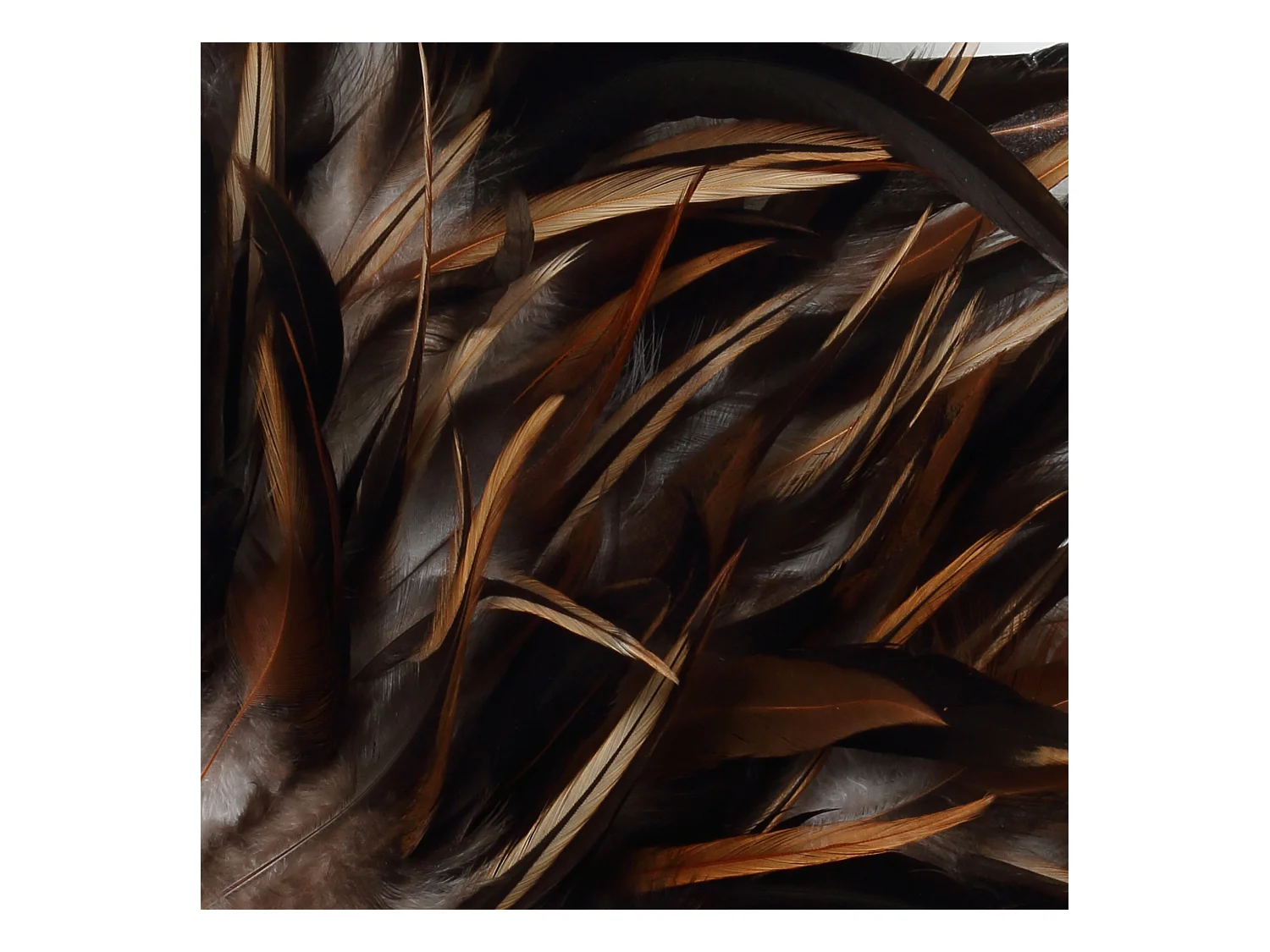 Le Juju Coastal - Noir Brun - M