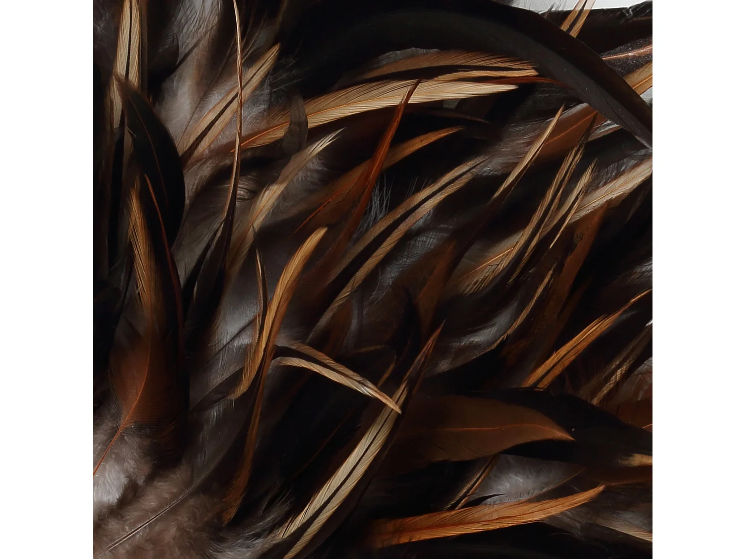 Der Coastal Juju - Schwarz Braun - M