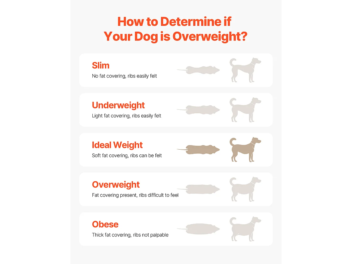 Tapis Roulant pour Chien, SucceBuy Tapis Roulant pour Chien de Taille Moyenne jusqu'à 100 kg, non Électrique, Intérieur