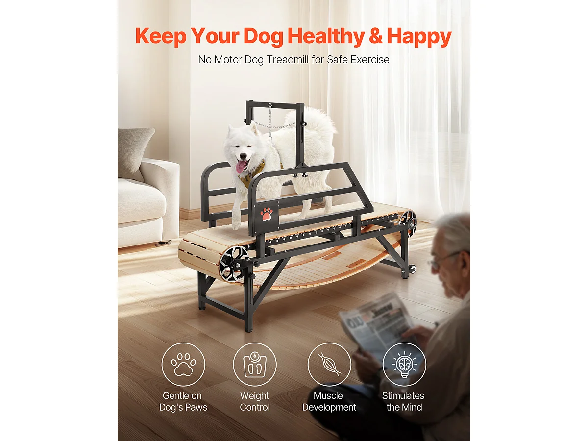 Tapis Roulant pour Chien, SucceBuy Tapis Roulant pour Chien de Taille Moyenne jusqu'à 100 kg, non Électrique, Intérieur