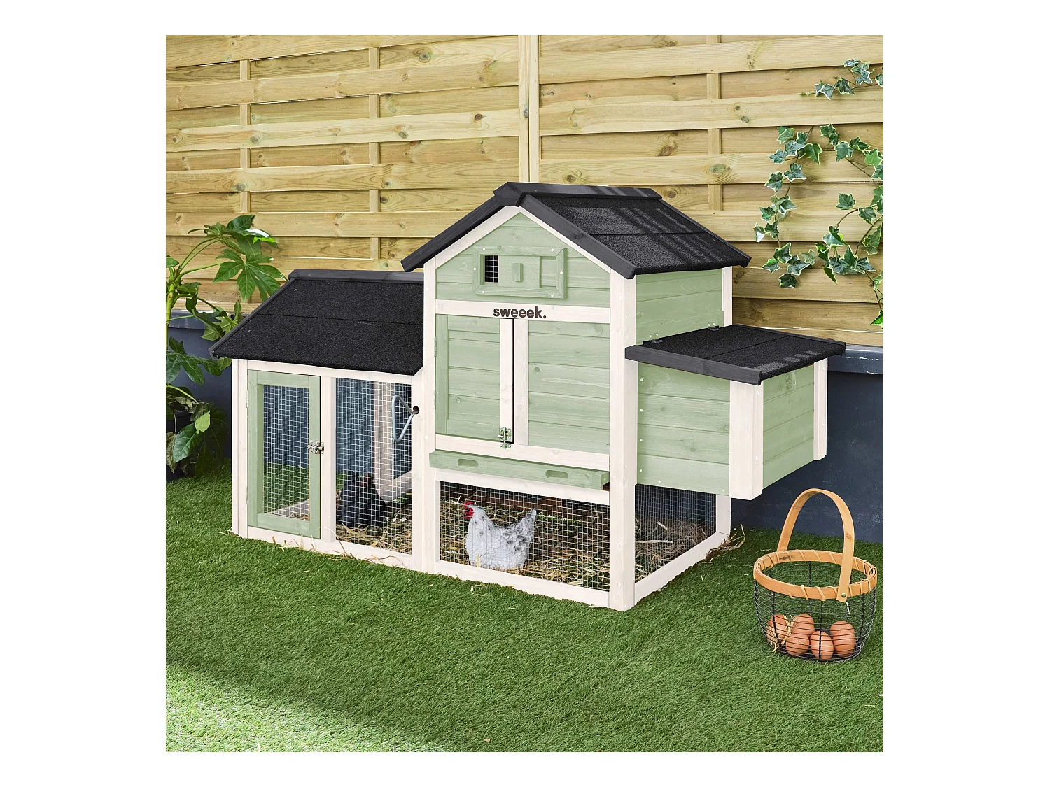 Poulailler en bois blanc et vert GALINETTE. 3 poules. cage à poule avec enclos