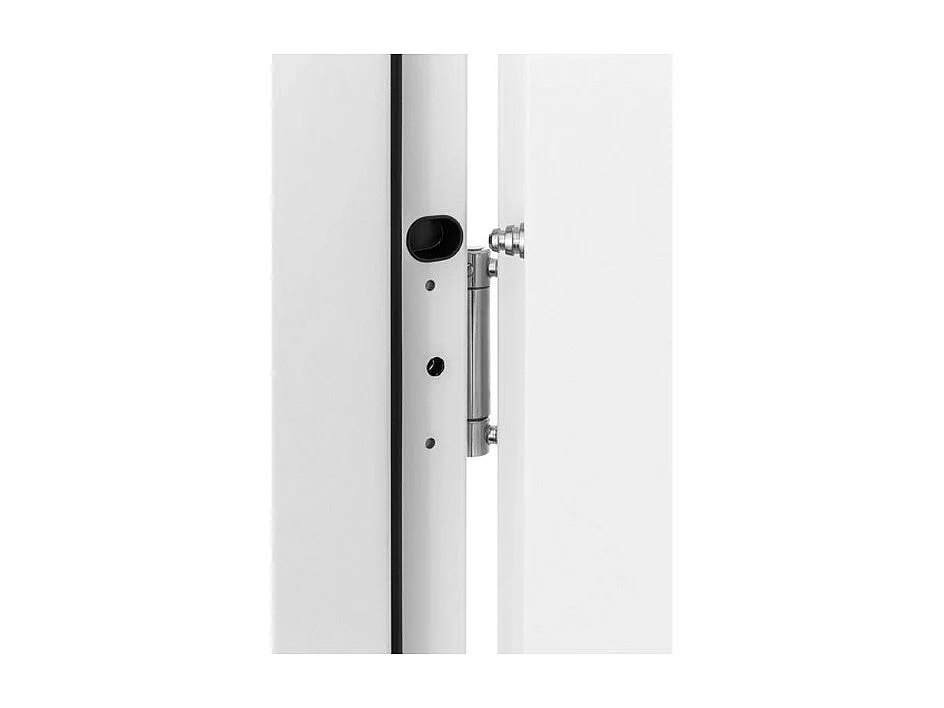 Porte d'entrée 80 cm en acier inoxydable anthracite - Poignée et serrure : Avec - Poussant: Droit