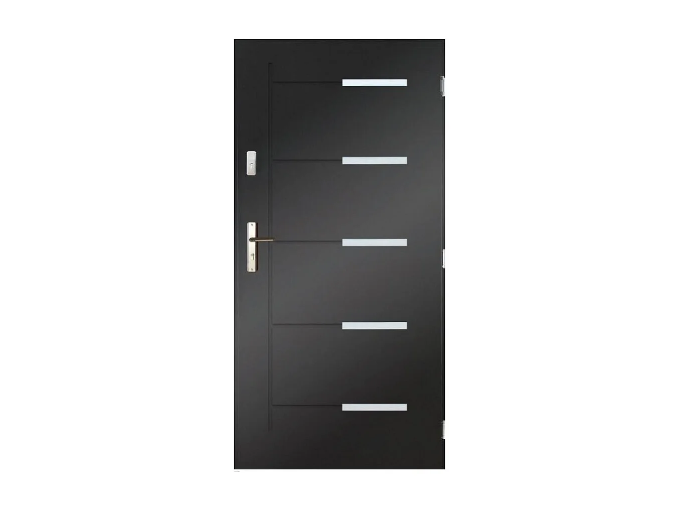 Porte d'entrée CANCUN 80 cm en acier inoxydable - Couleur: Anthracite - Poignée et serrure : Sans - Poussant: Gauche