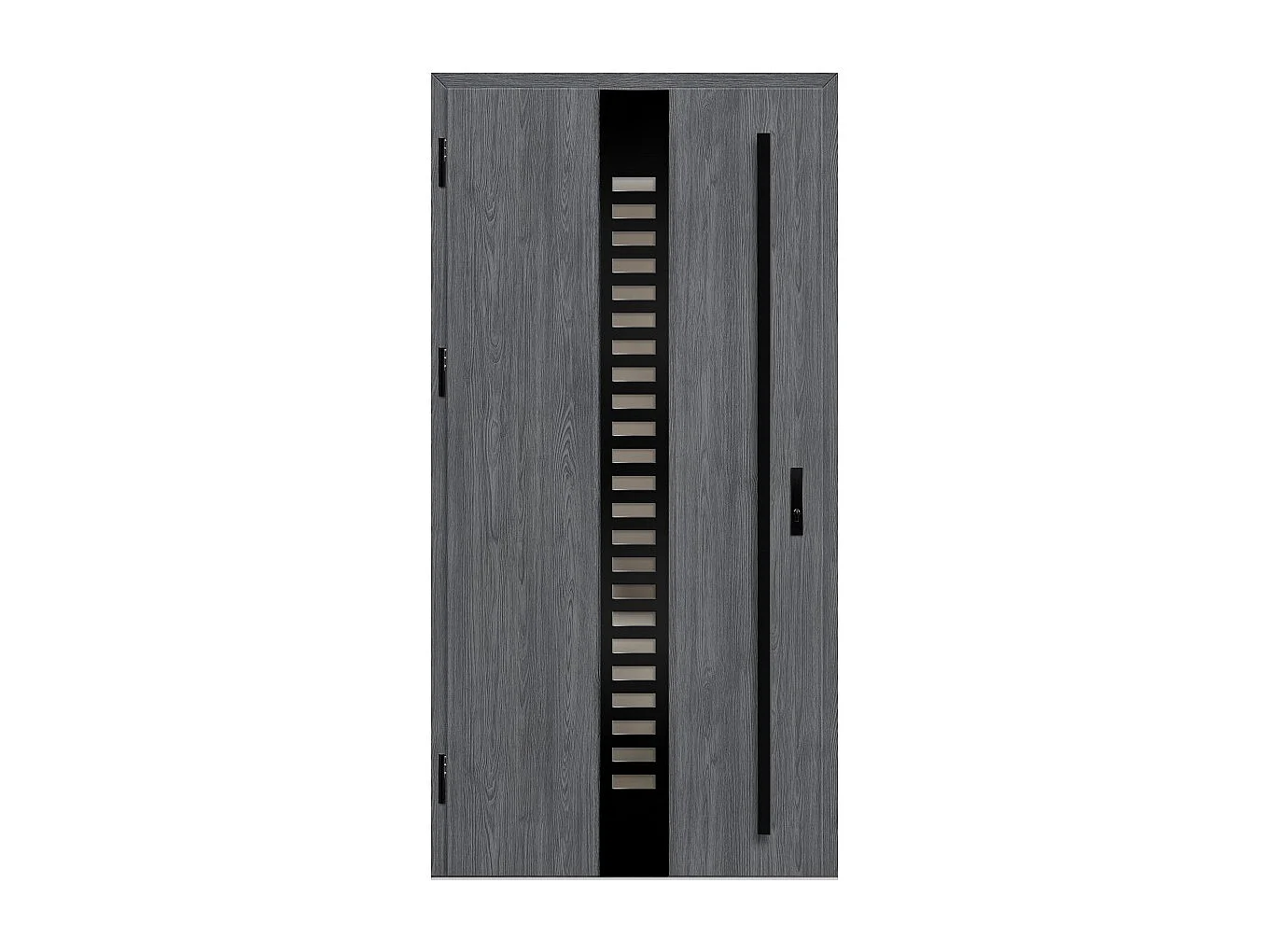Porte d'entrée en acier avec cadre en aluminium SELTERS 2 90*200 -100*200 cm - Poussant: Gauche - Dimensions: 100 cm