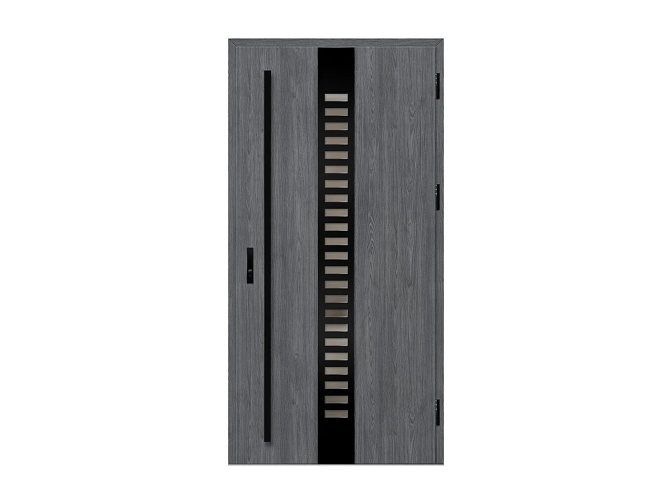 Porte d'entrée en acier avec cadre en aluminium SELTERS 2 90*200 -100*200 cm - Poussant: Droit - Dimensions: 100 cm