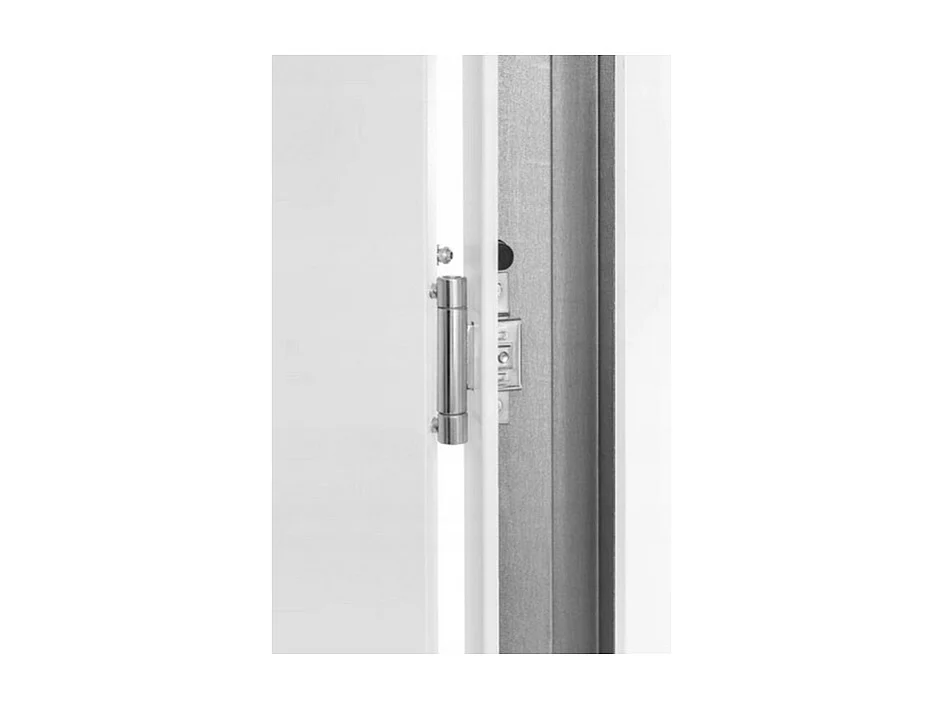 Porte d'entrée 80 cm en acier inoxydable blanc - Poignée et serrure : Avec - Poussant: Droit