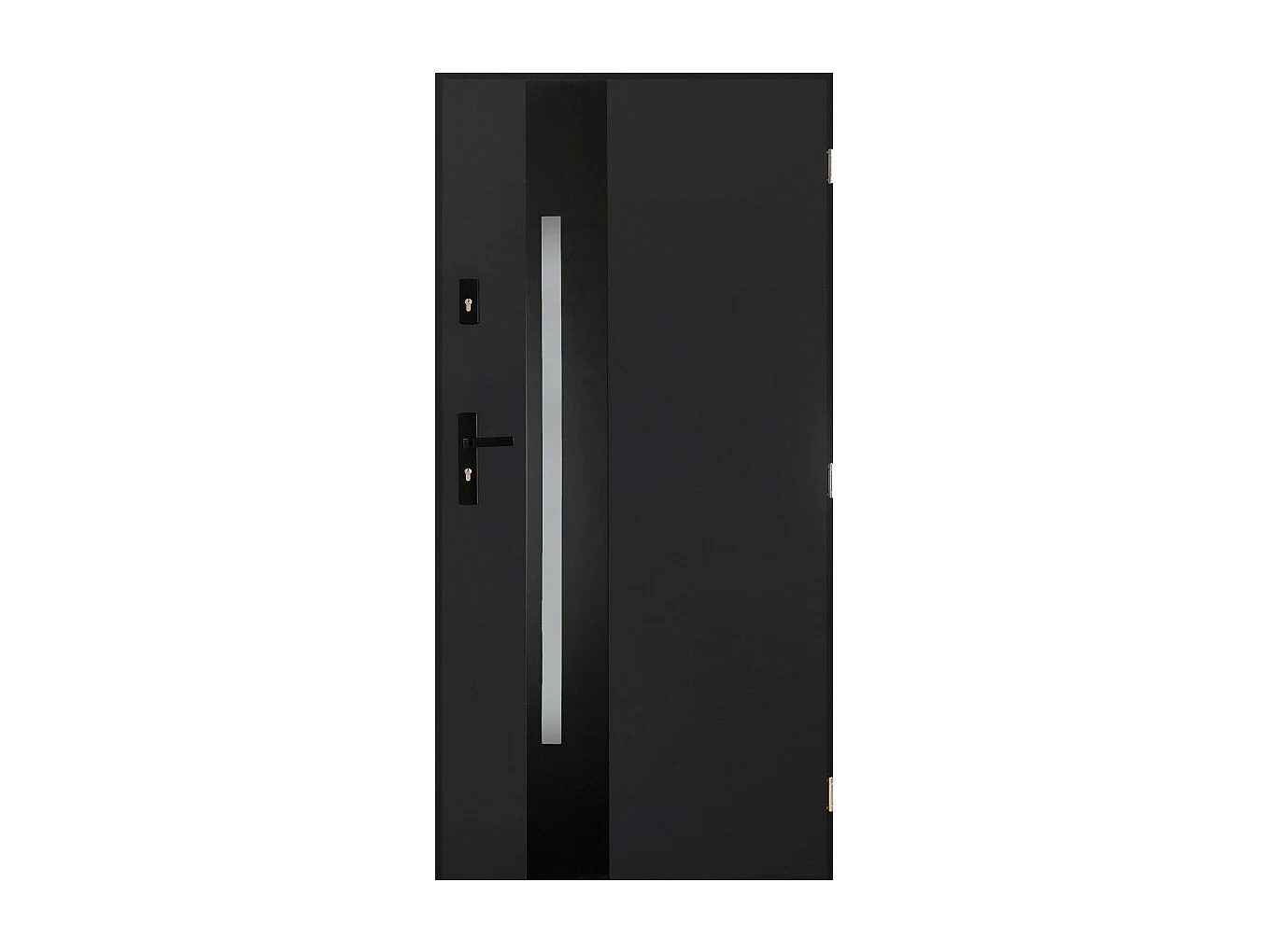 Porte d'entrée TANGO V 80 cm en acier inoxydable - Couleur: Anthracite - Poignée et serrure : Sans - Tirant: Droit