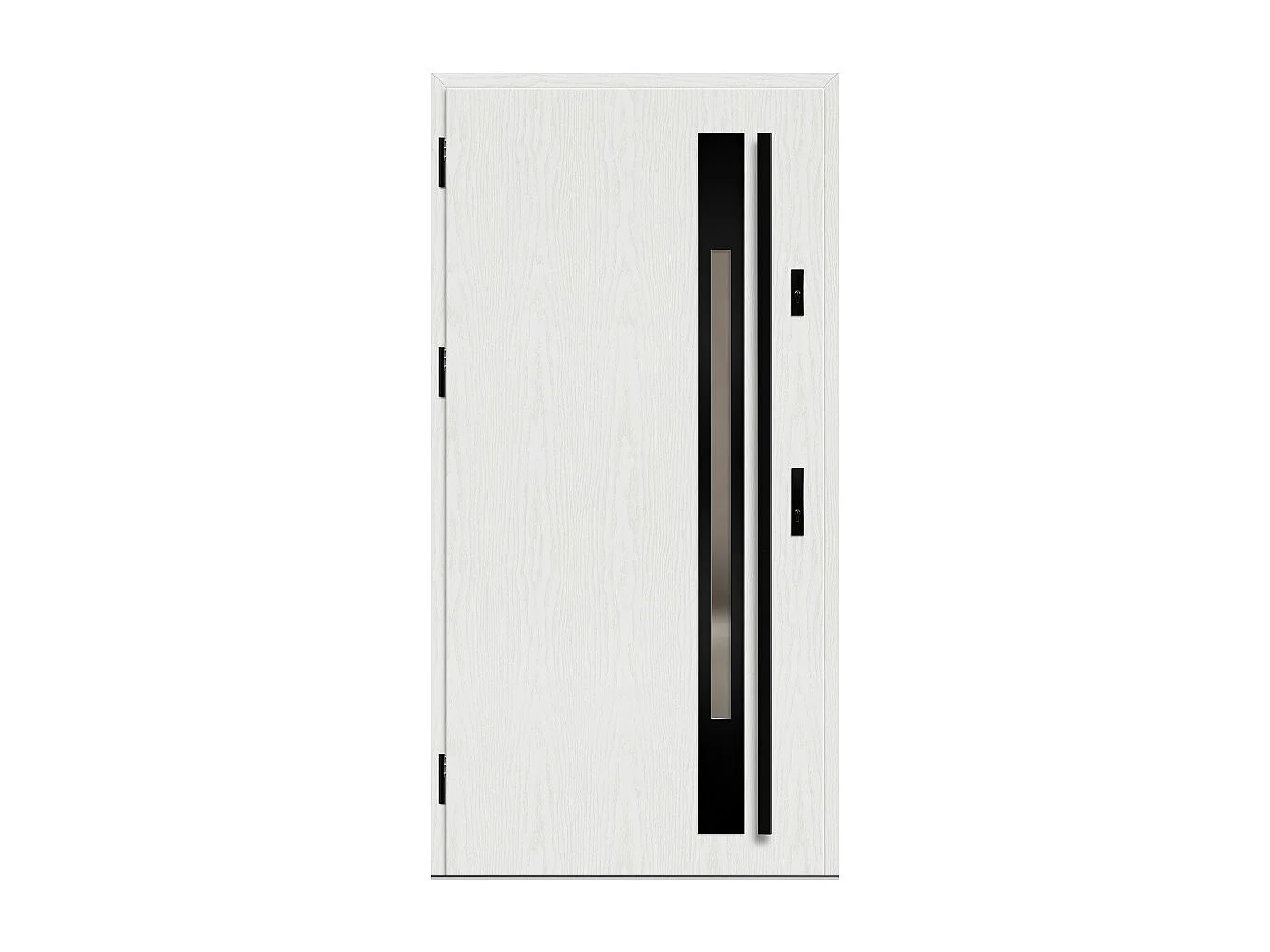 Porte d'entrée en acier avec cadre en aluminium WELS 1 90*200 -100*200 cm - Poussant: Gauche - Dimensions: 90 cm