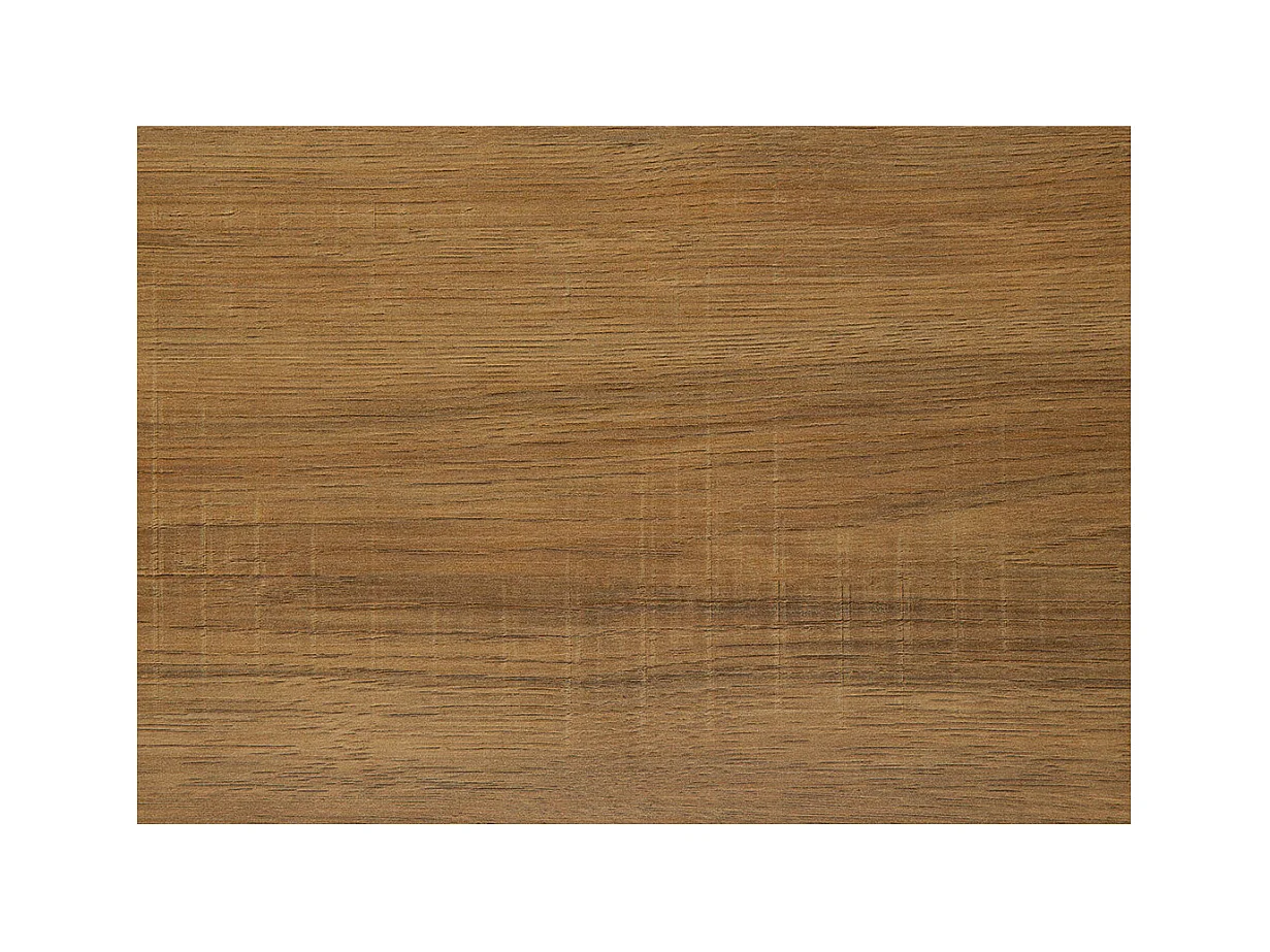 Bahamas bureau nature.