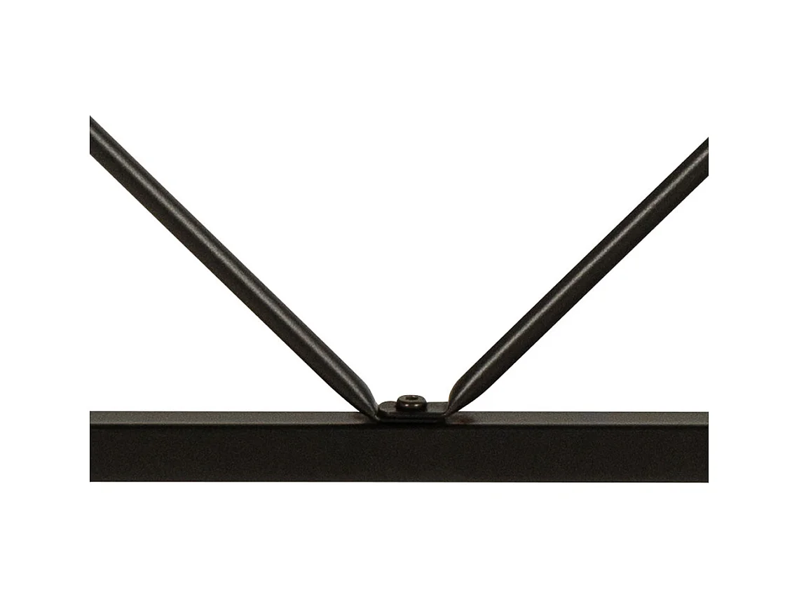 Bahamas bureau nature.