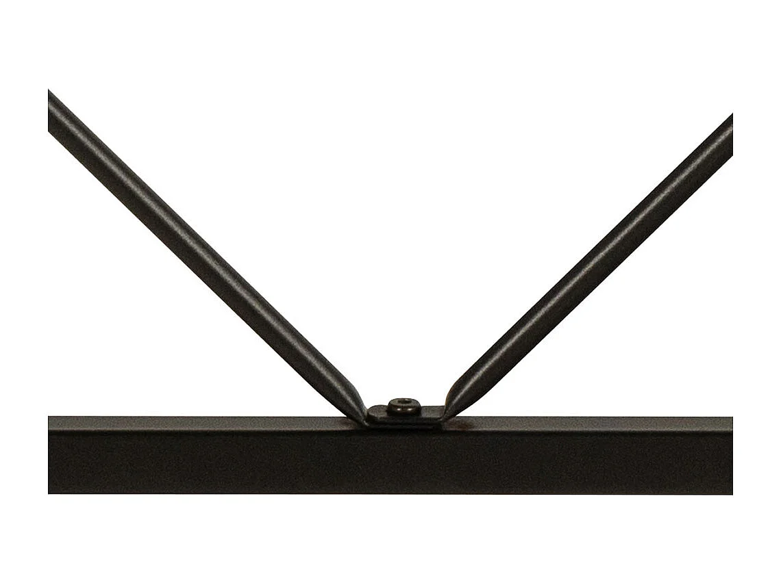 Bahamas bureau nature.