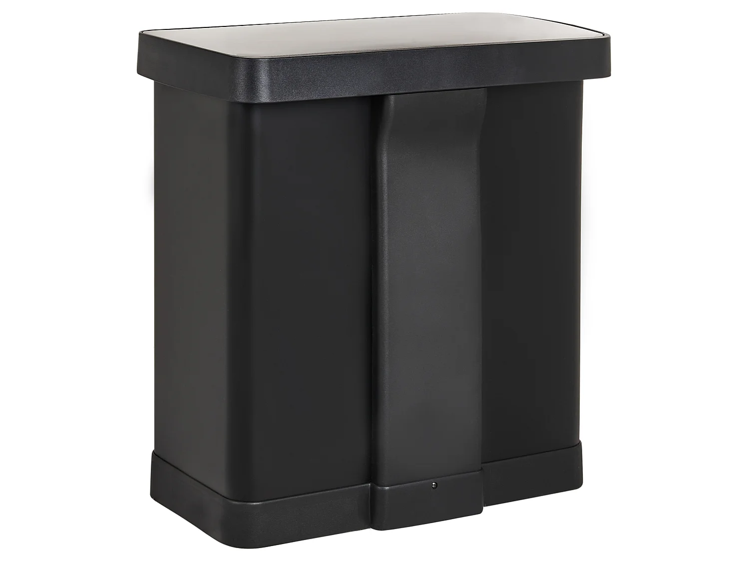 Double Pedal Waste Bin 60 L ECOSORT Metal Black