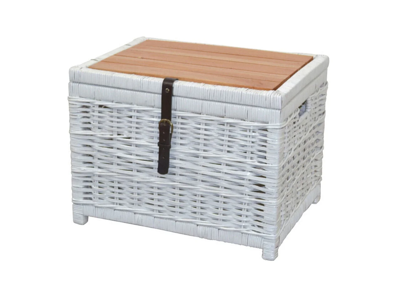 Table d'appoint coffre en bois blanche 58 x 45 x 44 cm TABA05129