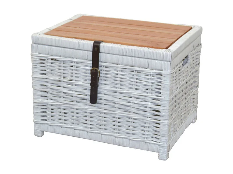 Table d'appoint coffre en bois blanche 58 x 45 x 44 cm TABA05129