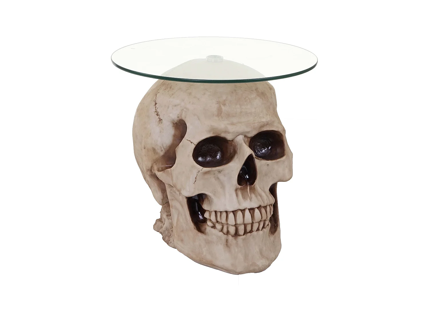 Table d'appoint Crâne HWC-A19, verre 55 x 55 x 52 cm 04_0005048