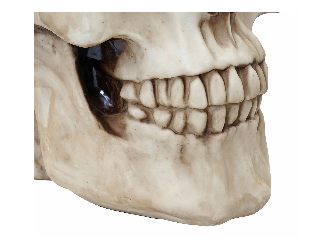 Table d'appoint Crâne HWC-A19, verre 55 x 55 x 52 cm 04_0005048