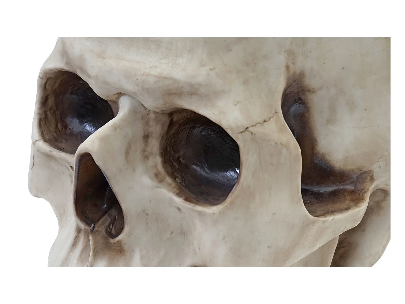 Table d'appoint Crâne HWC-A19, verre 55 x 55 x 52 cm 04_0005048