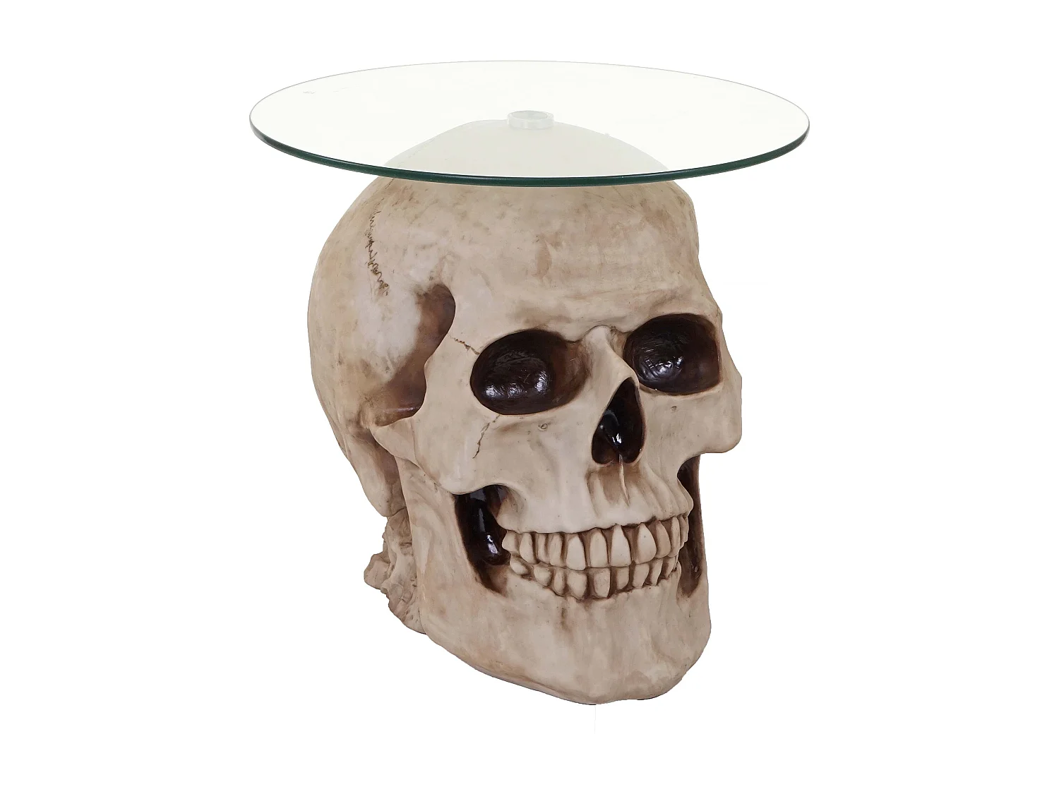 Table d'appoint Crâne HWC-A19, verre 55 x 55 x 52 cm 04_0005048