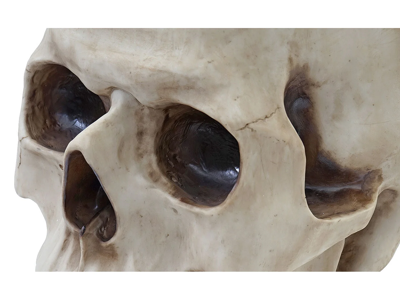 Table d'appoint Crâne HWC-A19, verre 55 x 55 x 52 cm 04_0005048