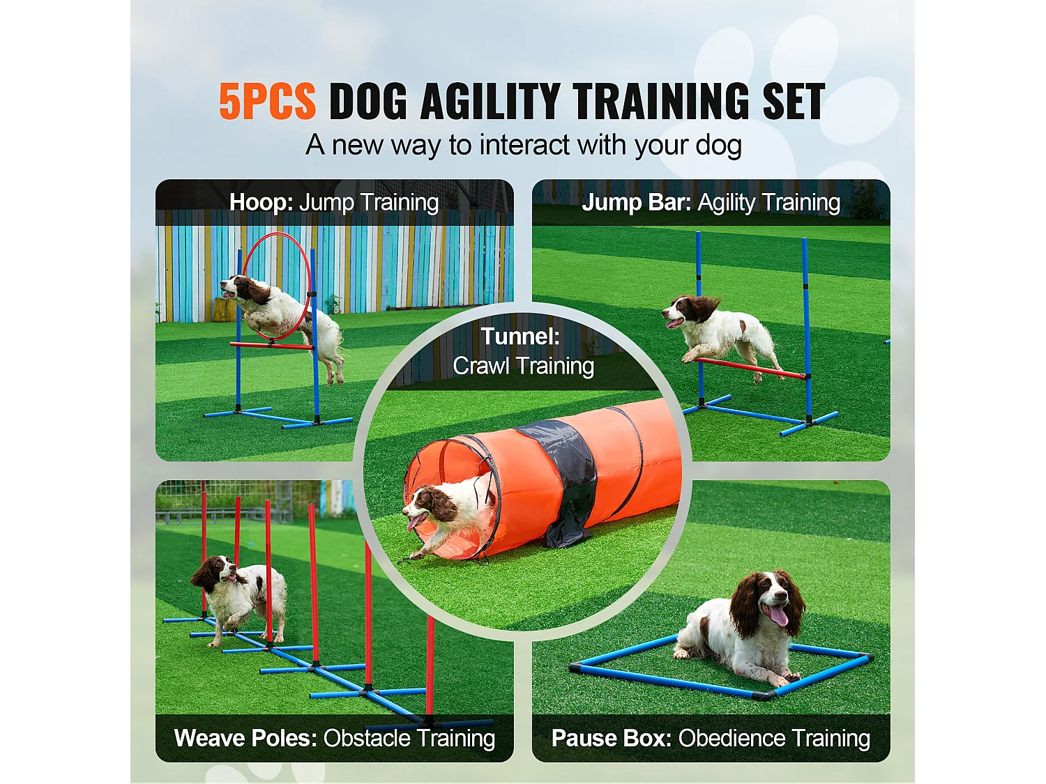 Agility-Set, SucceBuy 5-teiliges Agility-Trainingsgerät für Hunde mit Erweitertem Hindernistunnel
