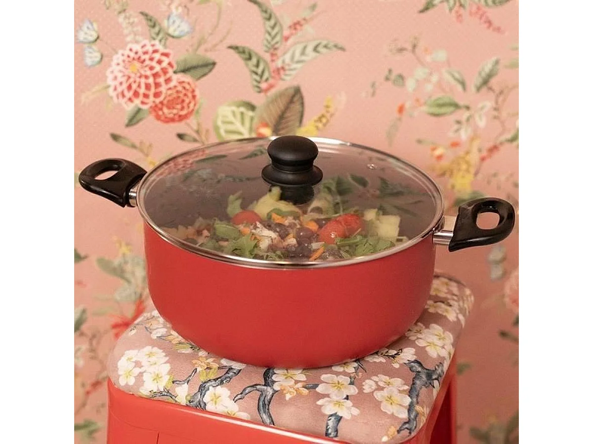 Livoo Faitout aluminium 24cm avec couvercle - MEP150R