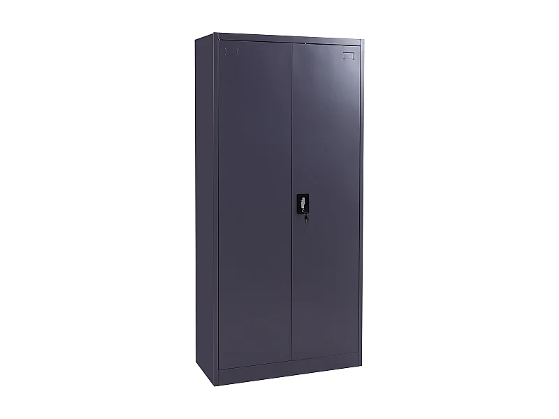Armoire de bureau en grise 94 x 8 x 188 cm 04_0006413