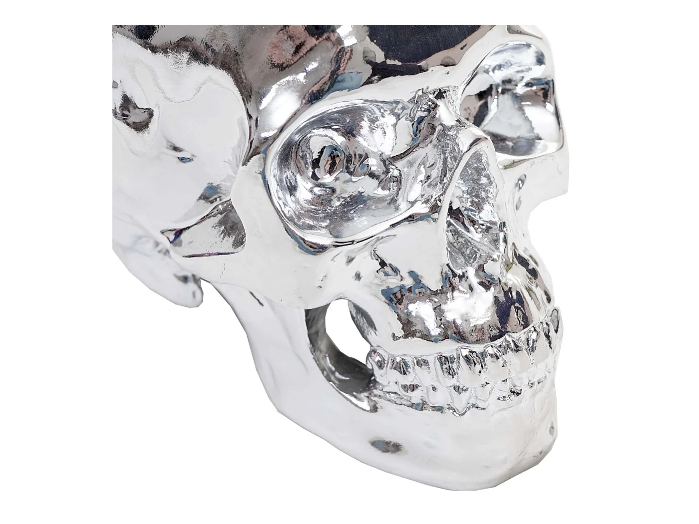 Crâne décoratif sculpture en résine 12.5 x 18 x 15 cm 04_0002839