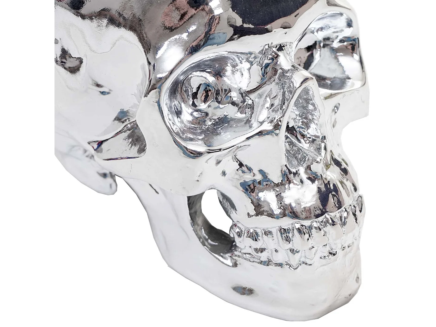 Crâne décoratif sculpture en résine 12.5 x 18 x 15 cm 04_0002839