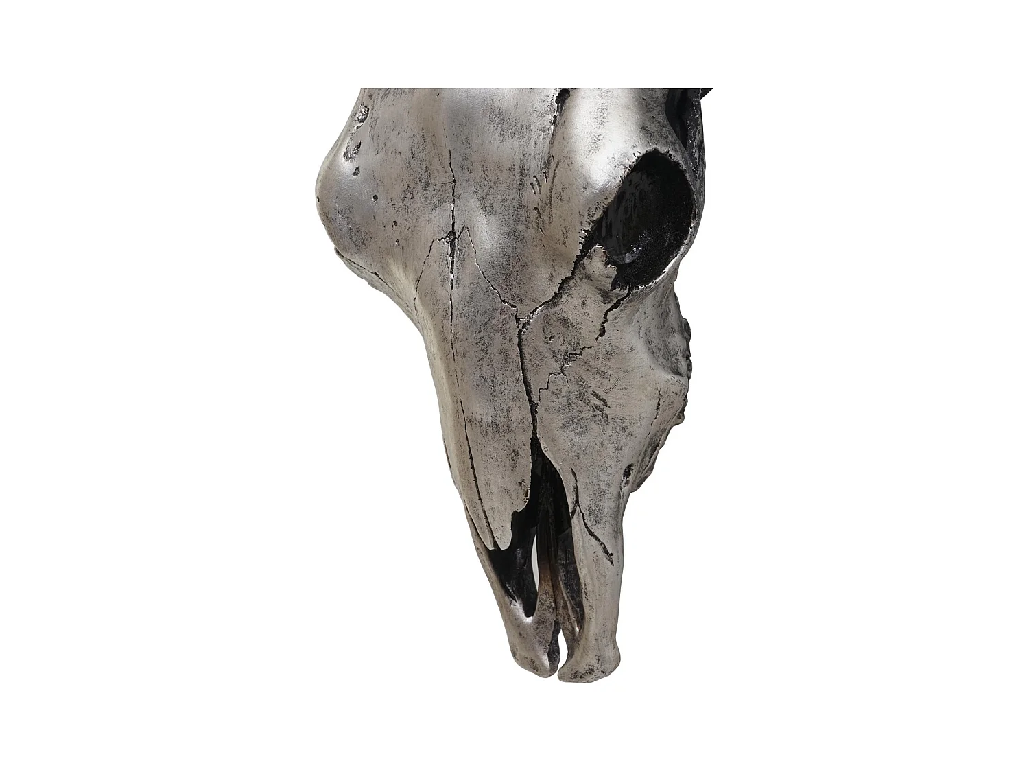 Crâne décoratif 45 cm résine argenté 50 x 19 x 53 cm 04_0006600