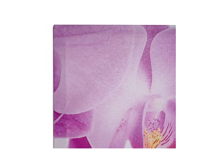 Toile de décoration murale 245 x 2.4 x 87 cm DEC04042