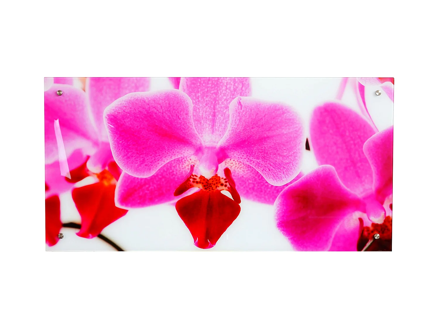 Tableau sur verre motif verre 100 x 100 x 50 cm DEC04021