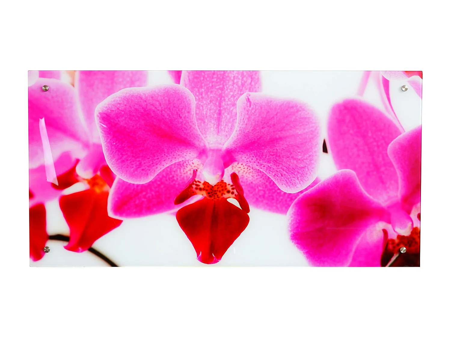 Tableau sur verre motif verre 100 x 100 x 50 cm DEC04021