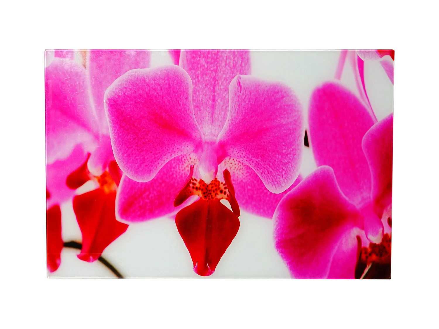 Image en verre d'affiche verre 60 x 0.04 x 40 cm 04_0003368