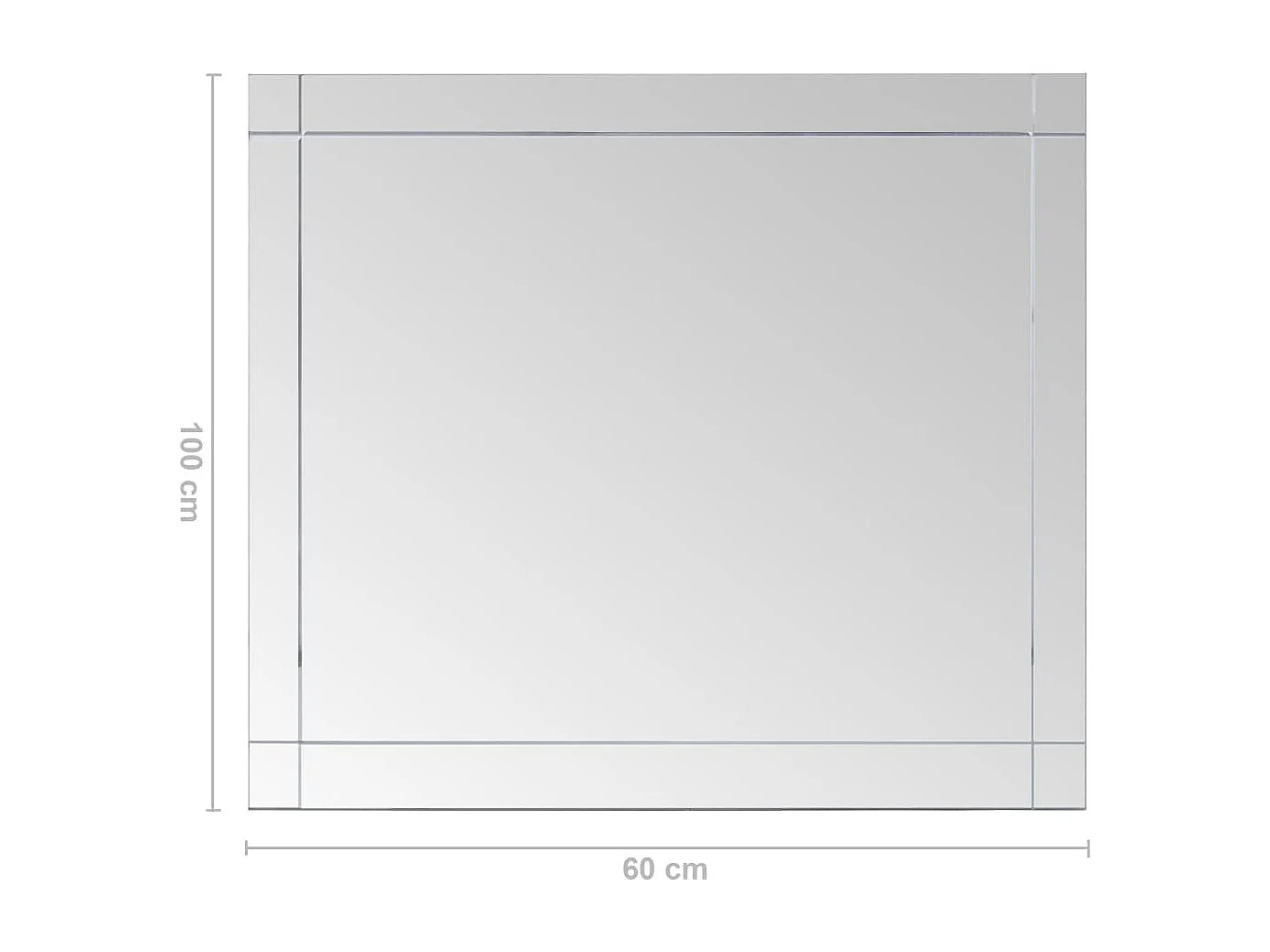 Miroir mural 100x60 cm verre 100 x 5 x 60 cm DEC022776