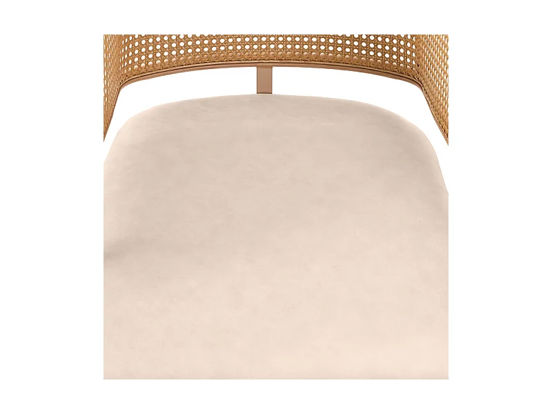 4 Pcs chaises en cuir PU - avec dossier en rotin et pieds en métal - charge max 150kg - 47x51x79cm