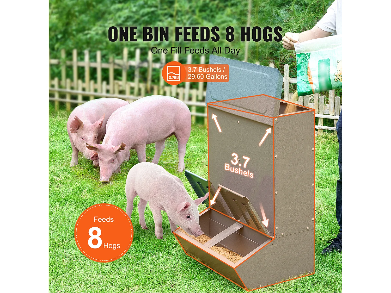 Mangeoire à Porcs SucceBuy, 130 L, Double Porte en Métal Pouvant Accueillir Jusqu'à 8 Porcs