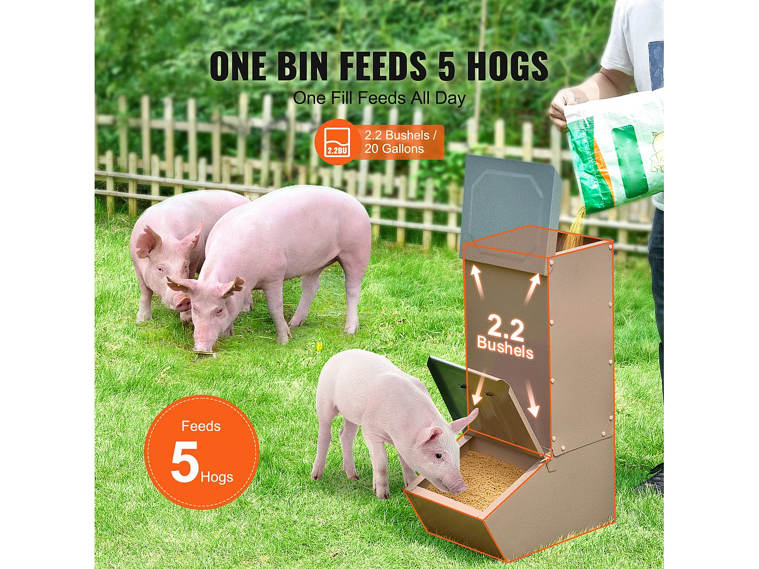 Mangeoire à Porcs SucceBuy, 77 L, Double Porte en Métal Pouvant Accueillir Jusqu'à 5 Porcs