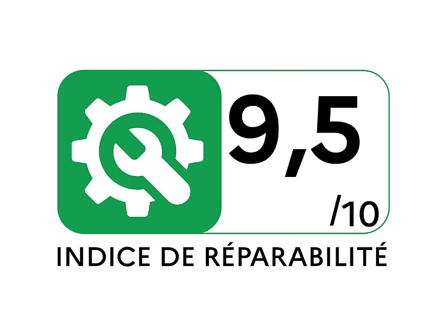 Aspirador escoba Rowenta X-Force Flex 13.60 150aW recargable negro