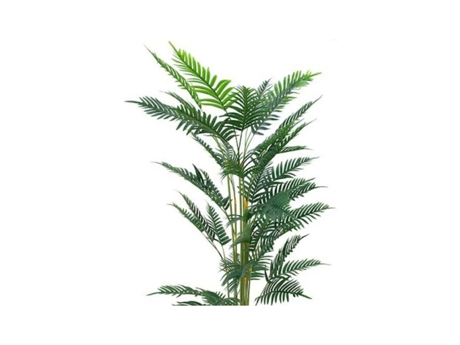 Pianta artificiale Palma Areca 180h con vaso