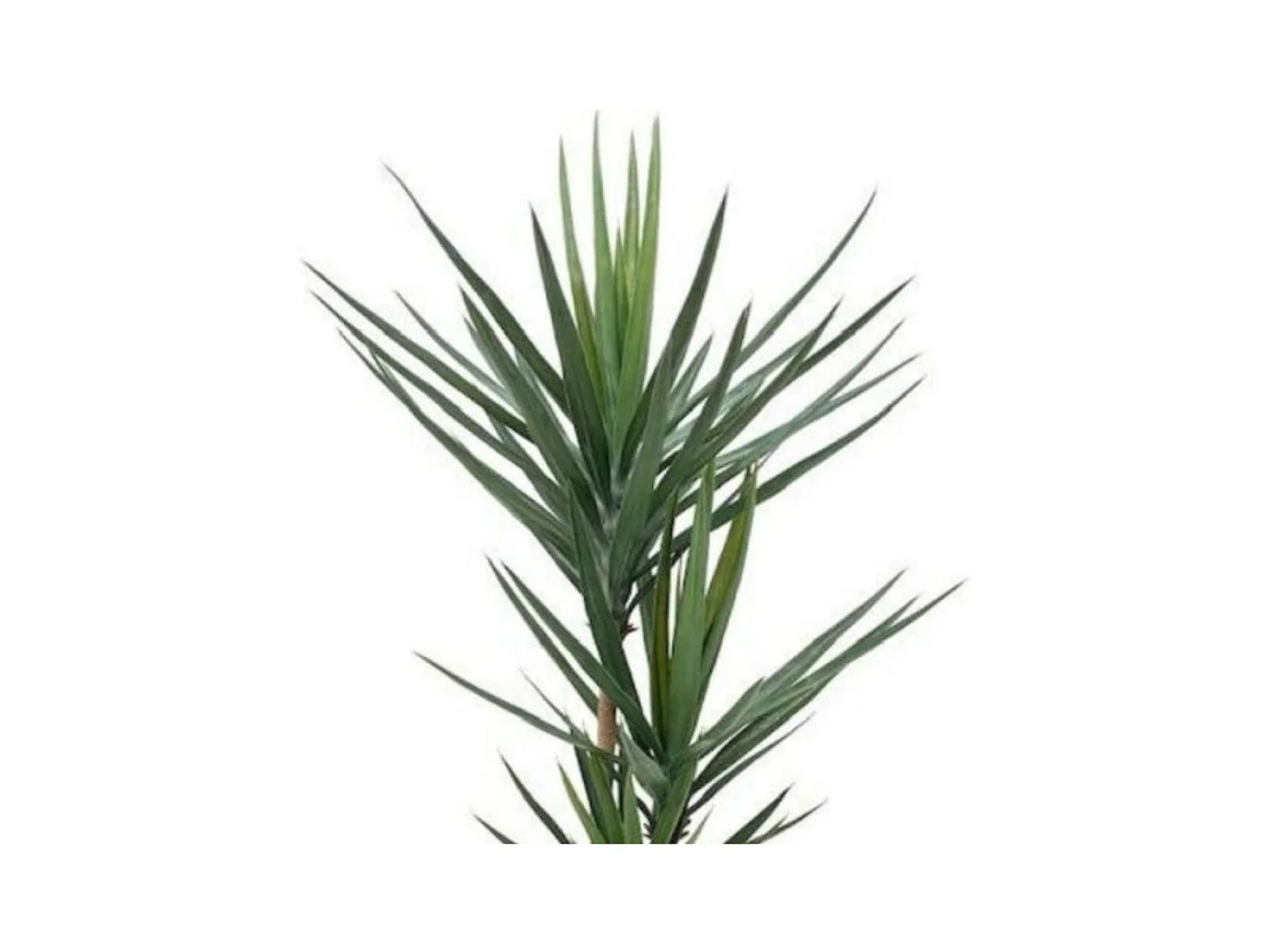 Pianta artificiale Yucca 180h 79 foglie con vaso