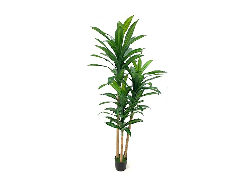Pianta artificiale Dracena 180H 81 foglie con vaso