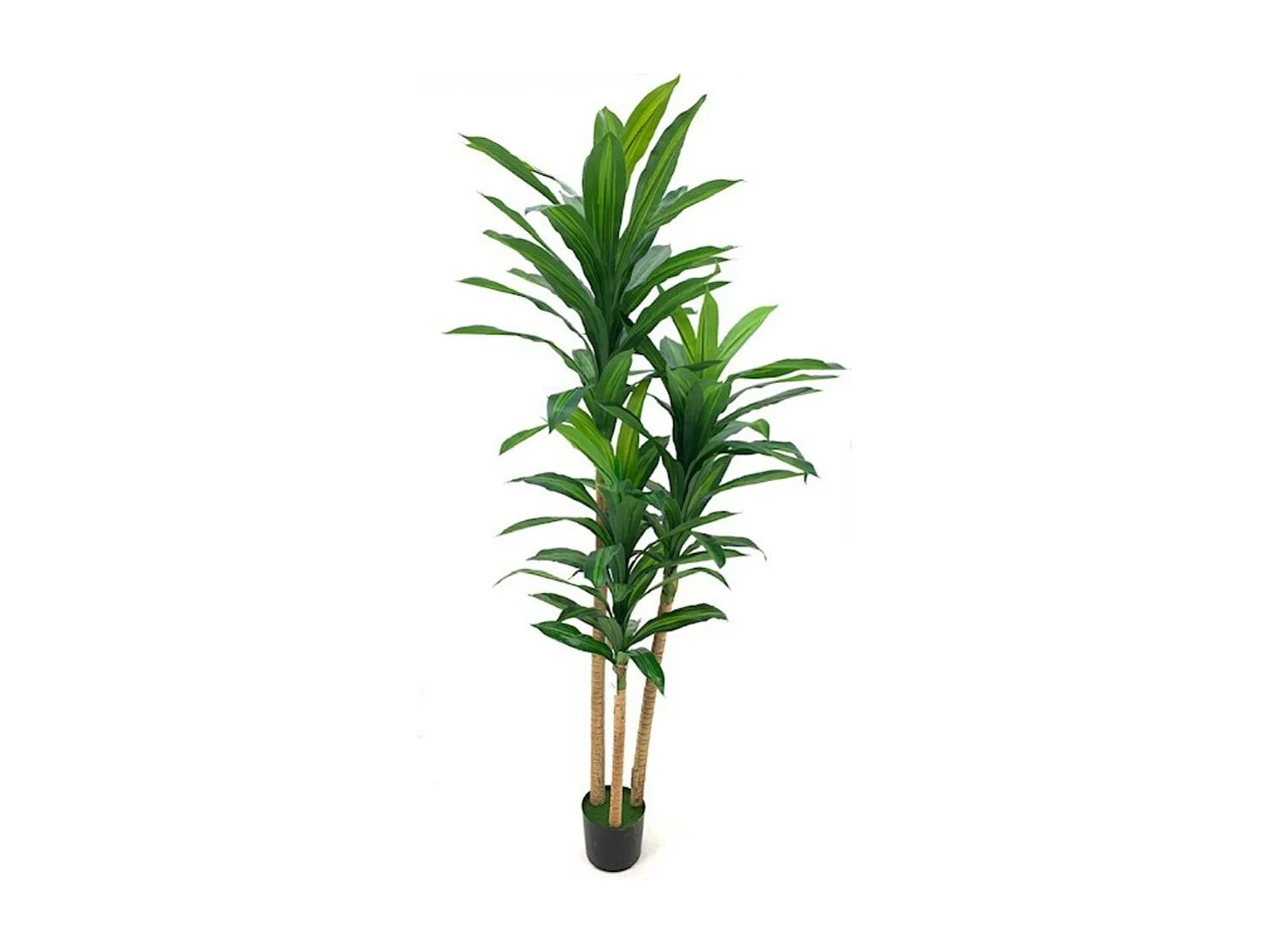 Pianta artificiale Dracena 180H 81 foglie con vaso