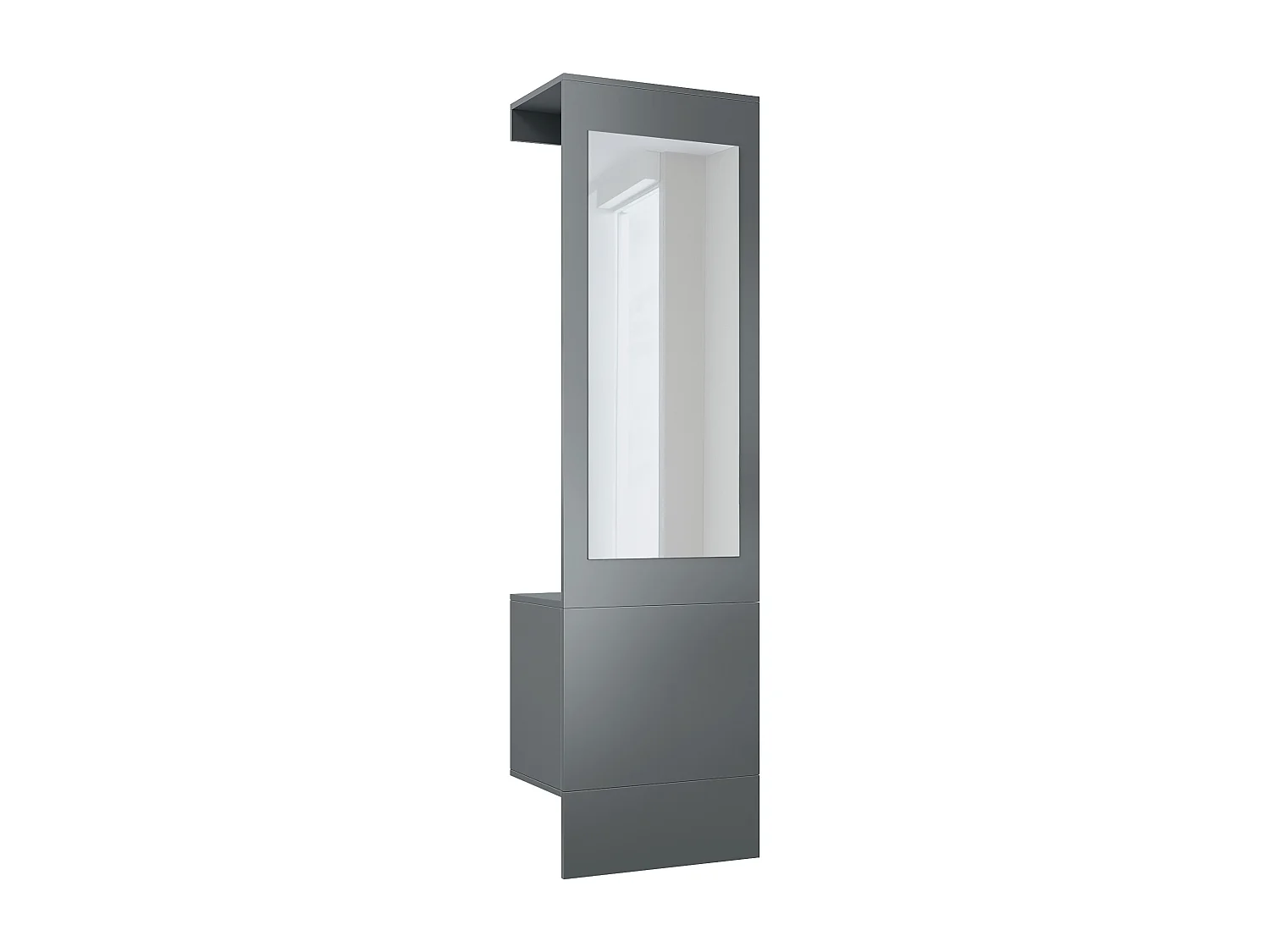 Garde-robe Carlton Neo, Porte-manteau mural avec panneau d'entrée, miroir, tringle à vêtements et armoire murale, anthracite mat (52 x 193 x 35 cm)