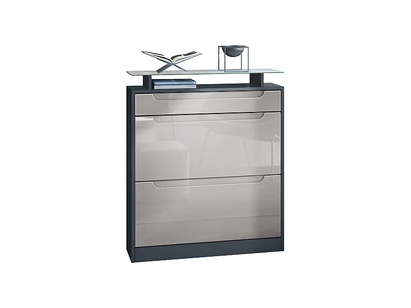 Meuble chaussure Fiesta pour 16 paires de chaussures, avec tablette en verre, Anthracite mat/Gris sable brillant, poignées Gris sable brillant (89x104x23 cm)