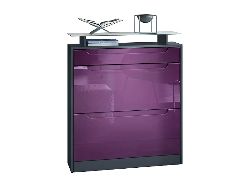 Meuble chaussure Fiesta pour 16 paires de chaussures avec clapets et tablette en verre, Anthracite mat/Mûre brillant, poignées Mûre brillant (89x104x23 cm)